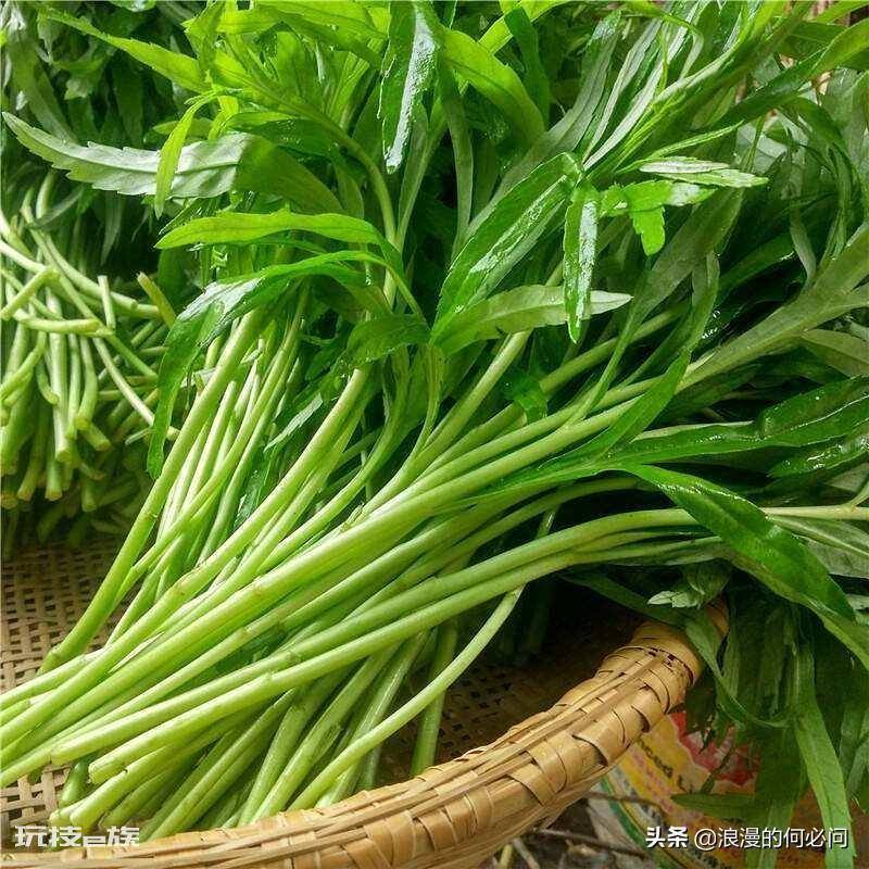 江西30个特色菜介绍(江西省代表家常菜美食及其做法)-图片6